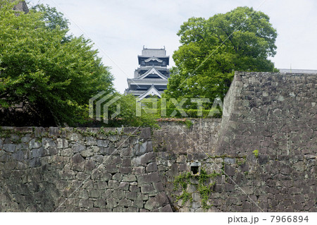 熊本城と石垣 7966894