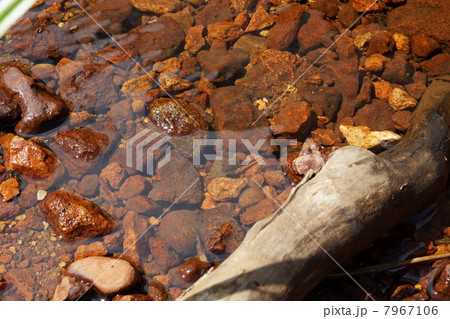 尾瀬 大江湿原に流れる小川 尾瀬 大江湿原に流れる小川 7967106