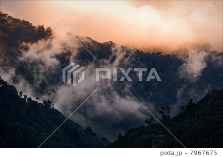 In mountains Costa Rica. 7967675