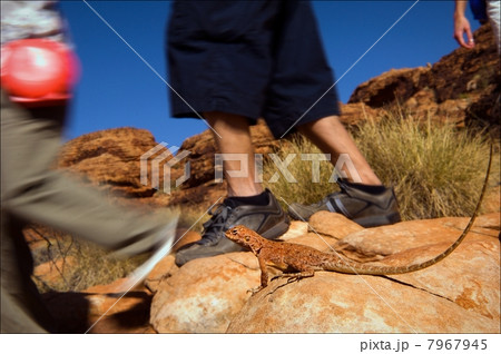 Meeting on a footpath. Meeting on a footpath. 7967945