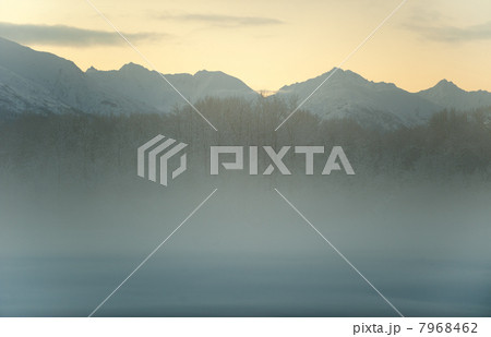 The Chilkat Valley under a covering of snow 7968462