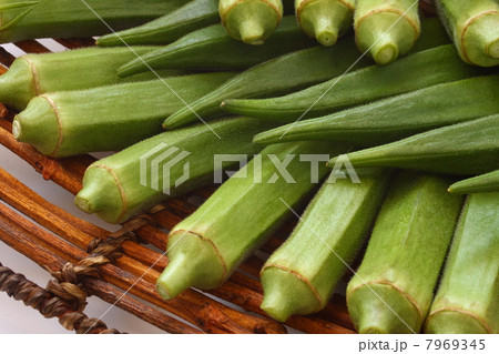 オクラのアップ 7969345