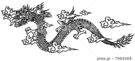 Dragon Dragon Stock Illustration 7969368 Pixta