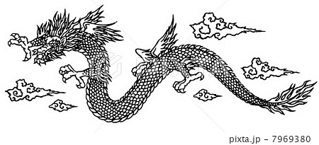 龍　ドラゴン 7969380