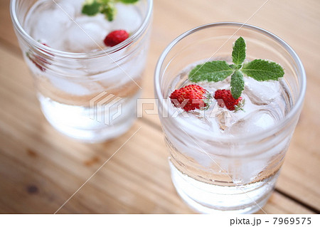 フレーバーウォーター フレーバーウォーター 7969575