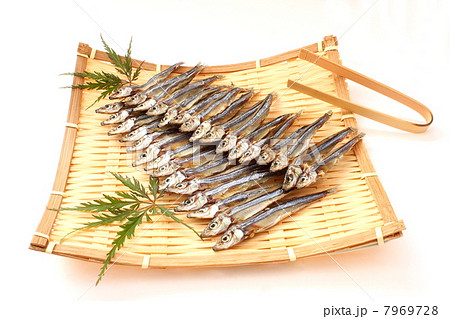 うるめいわし うるめいわし 7969728