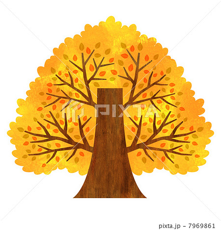 大きな木 秋のイラスト素材