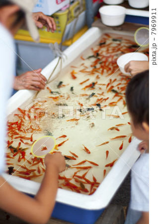 金魚すくい 7969911
