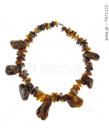Amber Necklace 7971172