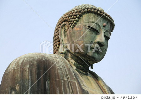 鎌倉大仏 7971367