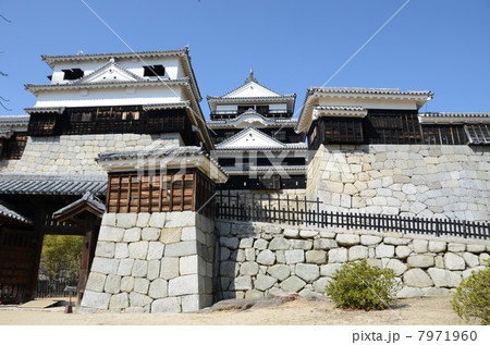 松山城　現存天守 7971960