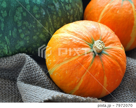 かぼちゃ 7972070