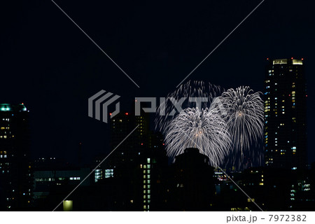 第43回みなと神戸海上花火大会 第43回みなと神戸海上花火大会 7972382