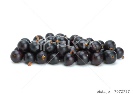 Small pile of blackcurrant berries 7972737