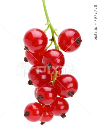 Some redcurrant berries 7972738