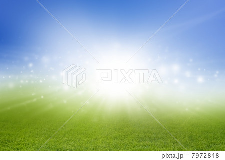 Green field, blue sky Green field, blue sky 7972848