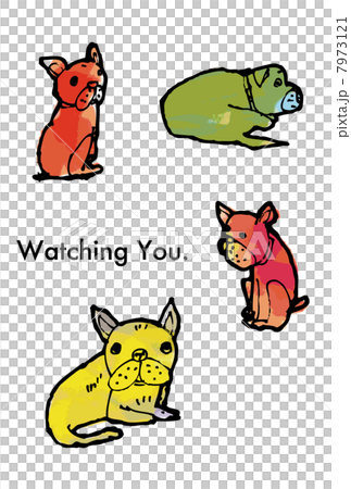 The dog is watching The dog is watching 7973121
