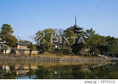 猿沢池　五重塔 7973313