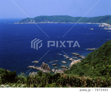 野間岬 野間岬 7973405