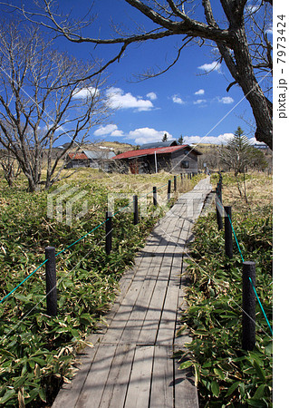 八島湿原 7973424