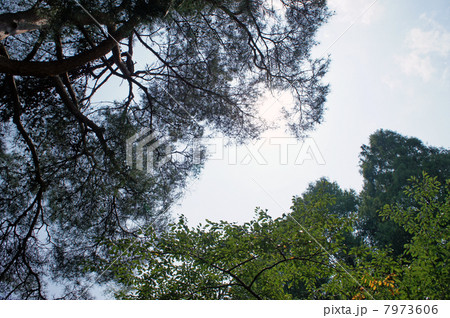 南湖公園 7973606