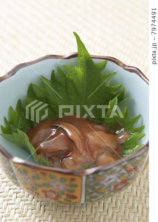 イカの塩辛 7974491