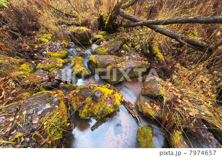 Autumn, HDRI 7974657