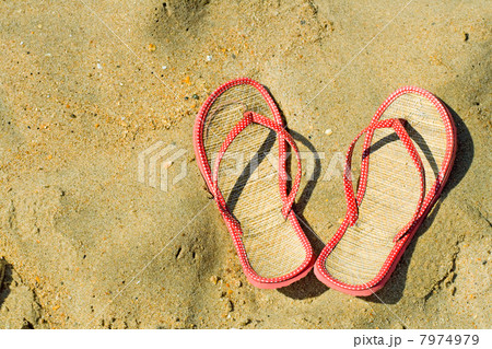 beach vacation beach vacation 7974979