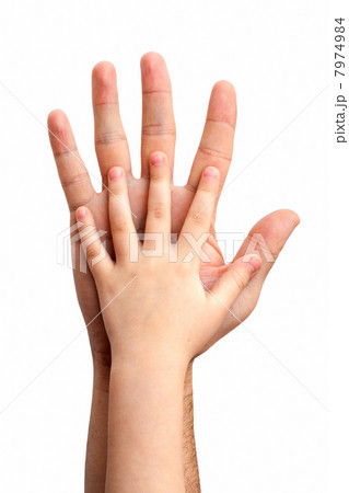 hands of the baby hands of the baby 7974984