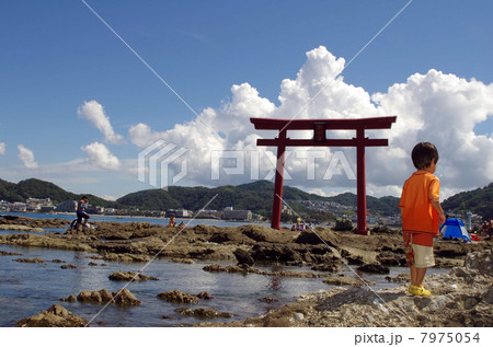 子供と森戸神社の鳥居の風景 7975054