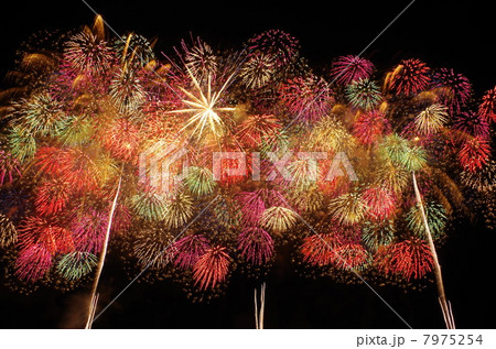 長岡花火 7975254
