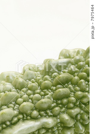ゴーヤの実 7975464