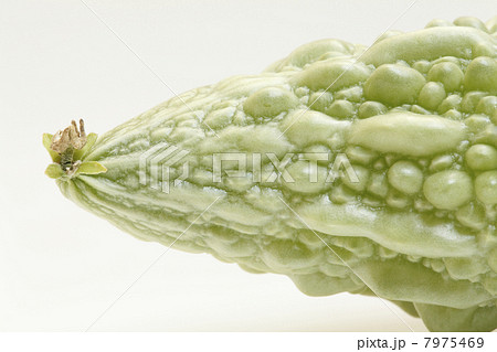 ゴーヤの実 ゴーヤの実 7975469