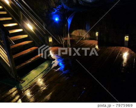 岩手県　岩泉町　龍泉洞 7975969