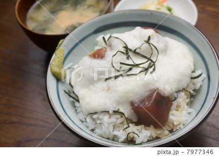 マグロづけ山かけ丼 マグロづけ山かけ丼 7977346