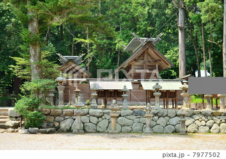 阿紀神社 7977502