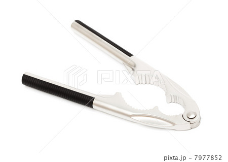 new nutcracker 7977852