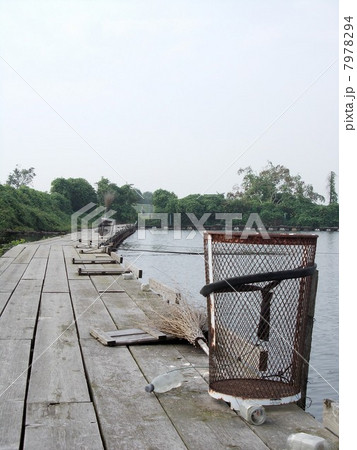 釣り堀 釣り堀 7978294