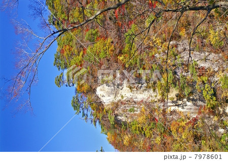 紅葉の鳴子峡（宮城県大崎市） 7978601