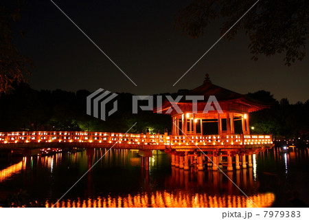 奈良浮見堂 ライトアップ 奈良浮見堂 ライトアップ 7979383