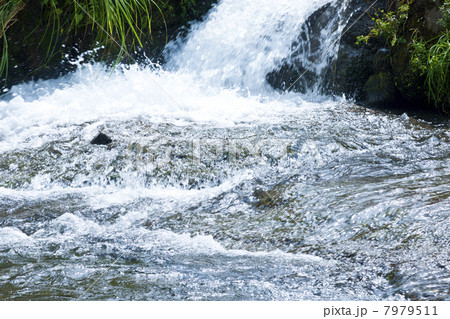 南阿蘇 白川水源 南阿蘇 白川水源 7979511