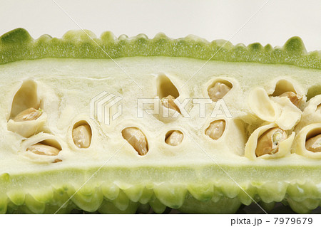ゴーヤの中身 ゴーヤの中身 7979679