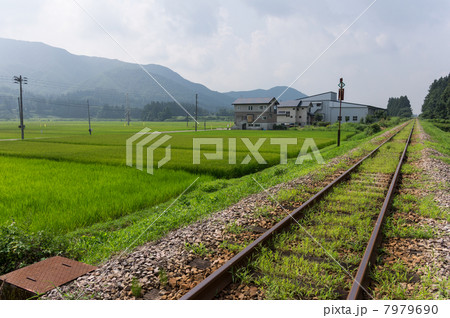 田園風景と只見線の線路 田園風景と只見線の線路 7979690