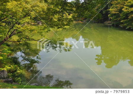 仙洞御所庭園 7979853