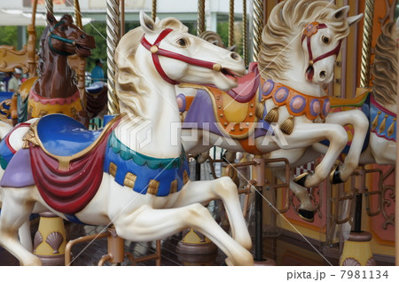 メリーゴーランド 7981134