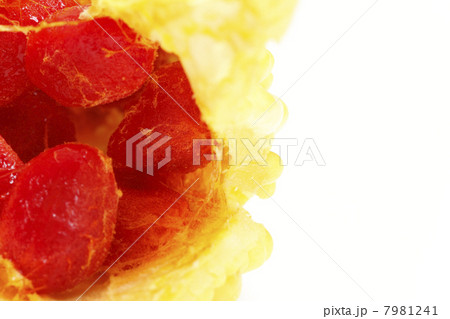 成熟したゴーヤの実 7981241