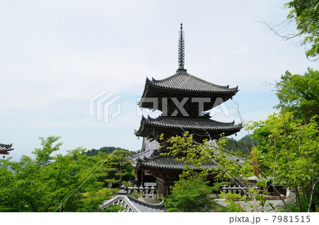 壺阪寺 三重塔 壺阪寺 三重塔 7981515