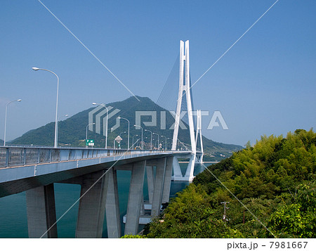 多々羅大橋 7981667