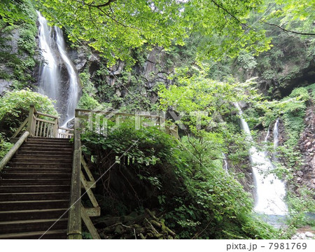 裏見ノ滝と観瀑台 裏見ノ滝と観瀑台 7981769
