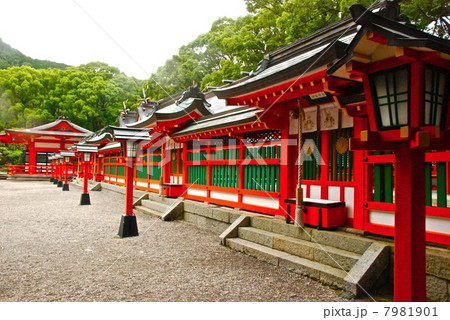 熊野速玉大社の境内(和歌山県新宮市新宮) 熊野速玉大社の境内(和歌山県新宮市新宮) 7981901